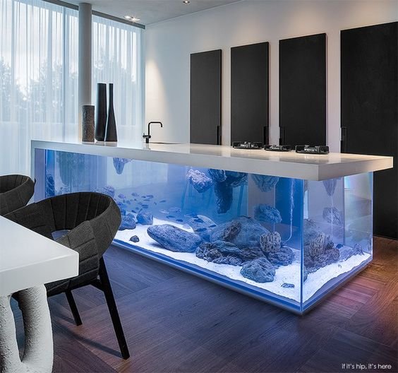 Aquario na cozinha