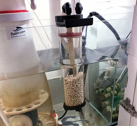 Reator de Biopellets