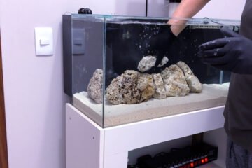 Rochas Vivas para Aquário Marinho