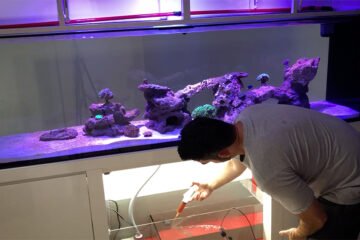 Acelerador de Biologia