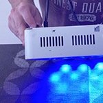 Iluminação Corais Soft, LPS e SPS